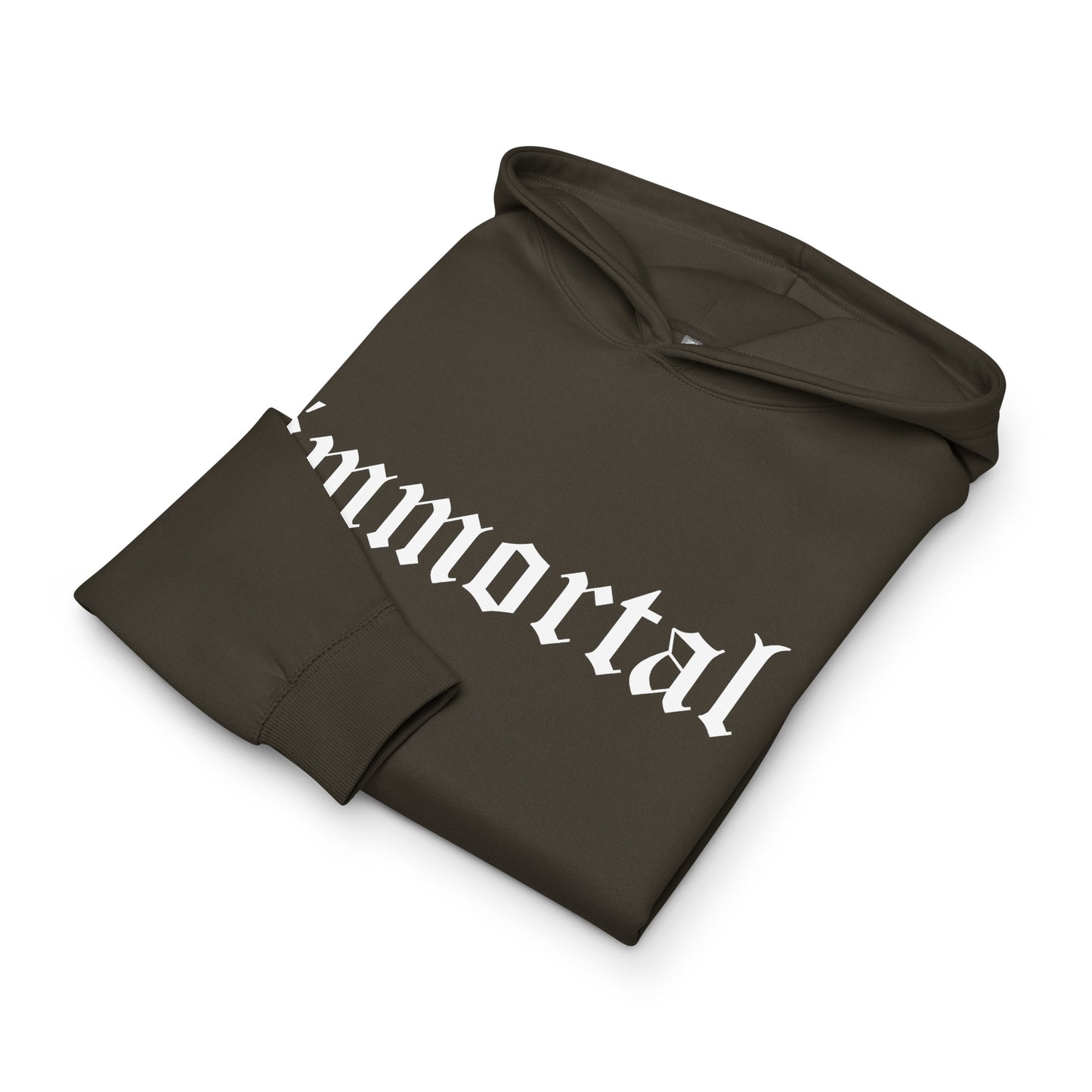 immortal hoodie in vintage black by Holy King Clothing front fold. Christian Street wear Clothing Brand